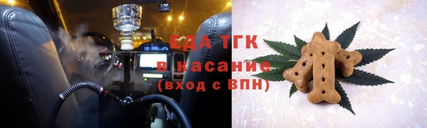 индика Верхний Тагил